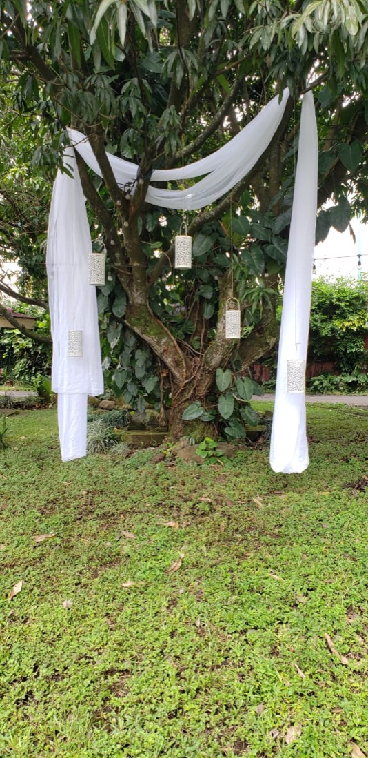Instalación de tela blanca en un árbol real de jardín, con lámparas colgantes
